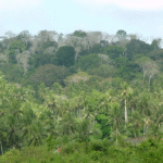 Mijikenda