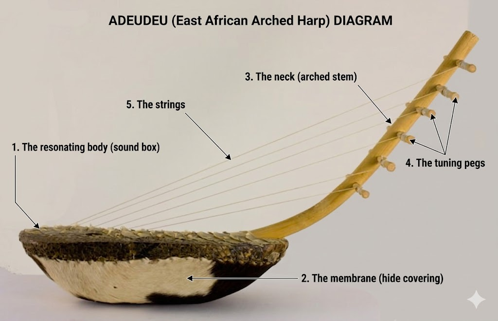 The Parts of the Adeudeu